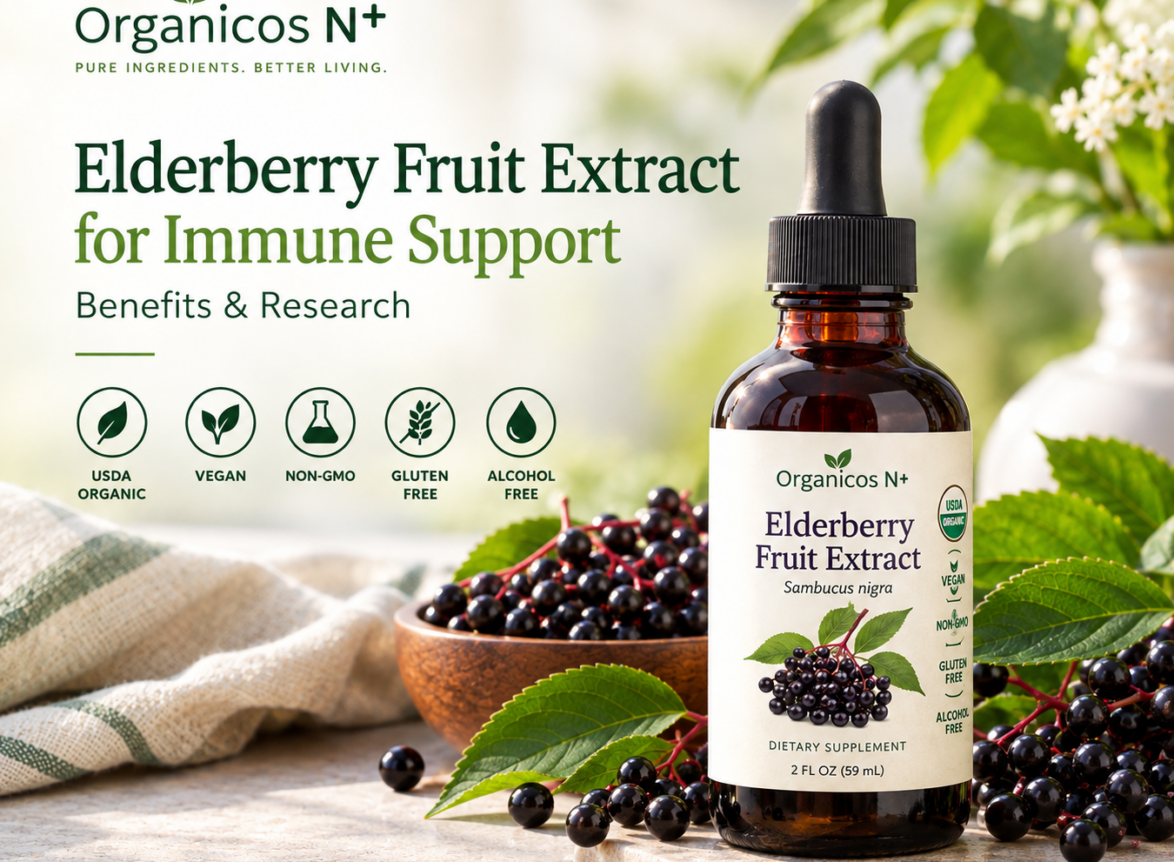 Elderberry Fruit Extract
