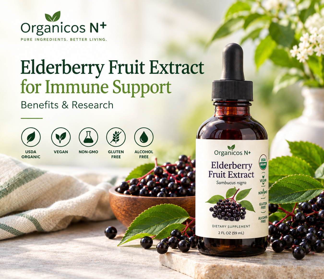 Elderberry Fruit Extract